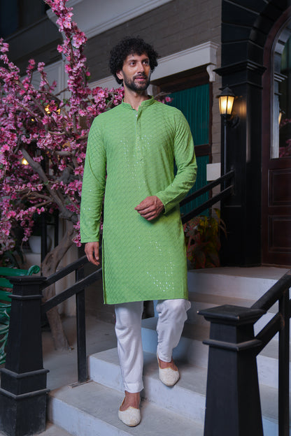 Pastel Green Chikenkari Kurta with Sequins