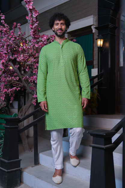 Pastel Green Chikenkari Kurta with Sequins