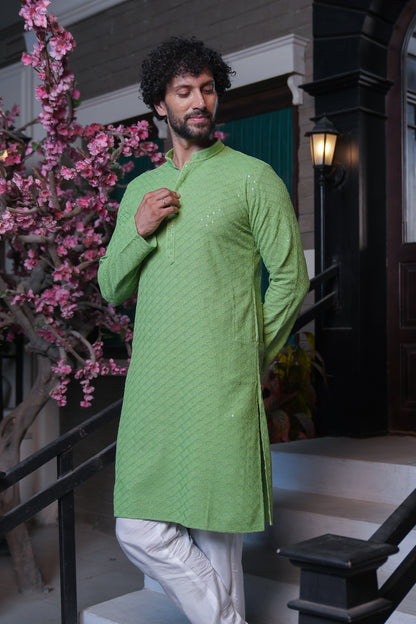 Pastel Green Chikenkari Kurta with Sequins